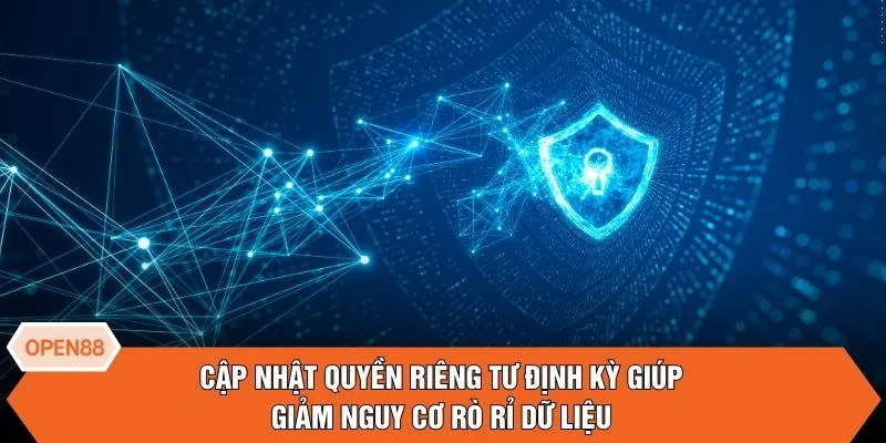 Cập nhật quyền riêng tư định kỳ giúp giảm nguy cơ rò rỉ dữ liệu 